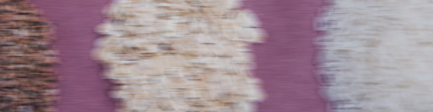 Cellular Energy Complex (NAD+ Pathway)