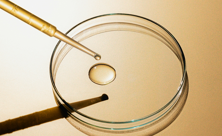 Only what works.  Nothing that doesn’t.