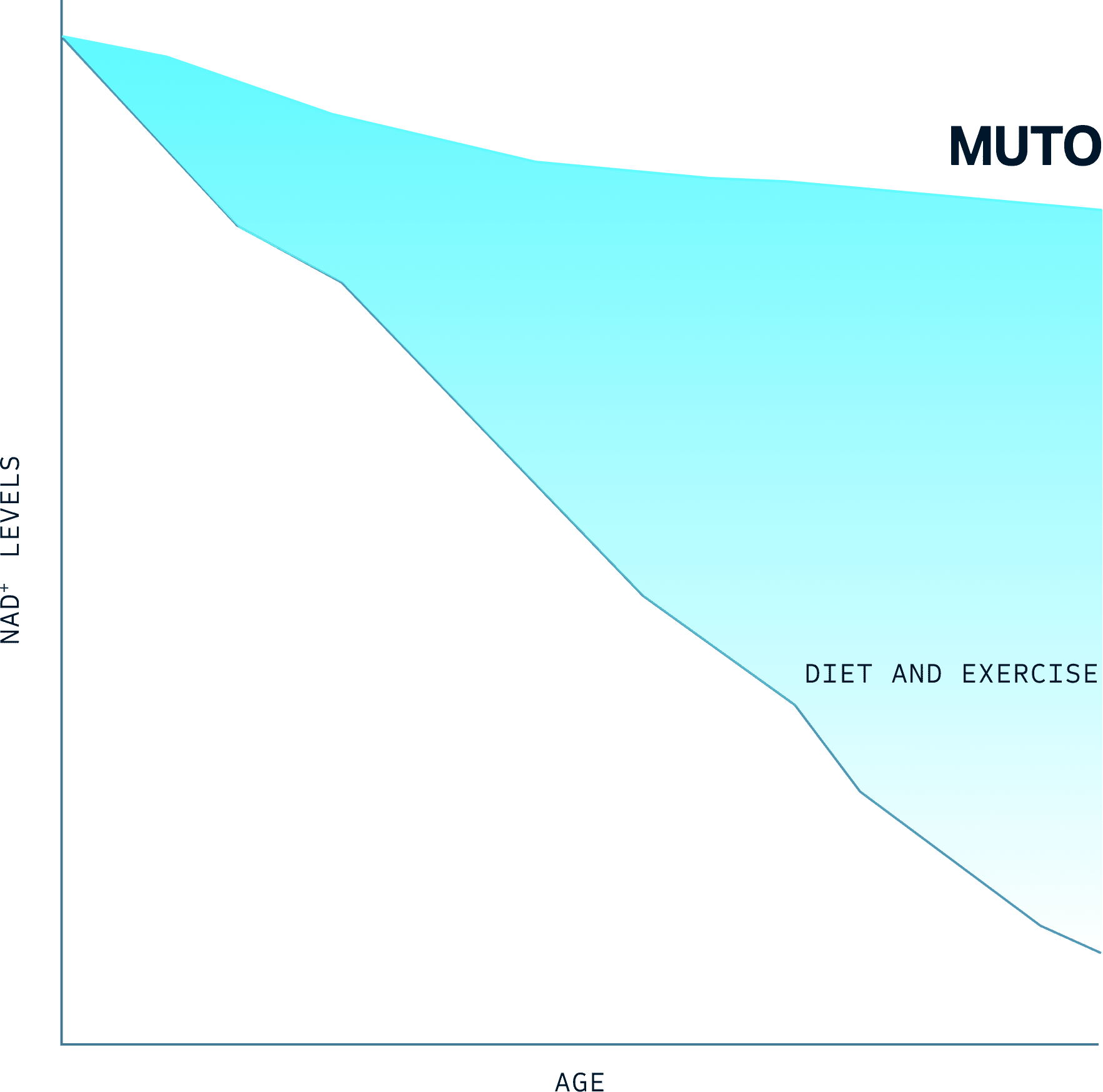 IT SUPPORTS A KEY DRIVER OF CELLULAR ENERGY