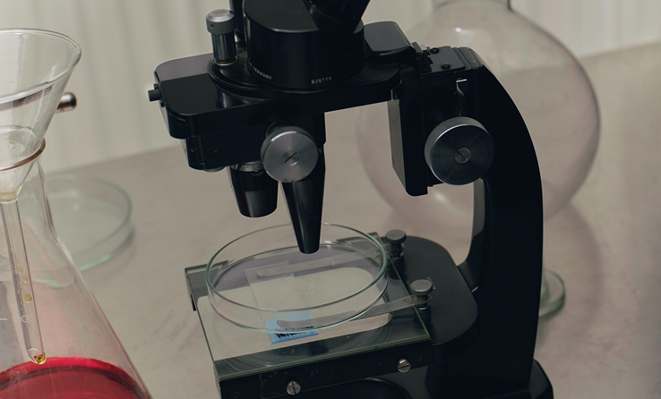 Evidence-led from day one