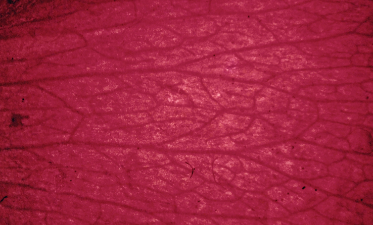 Where the next breakthroughs begin